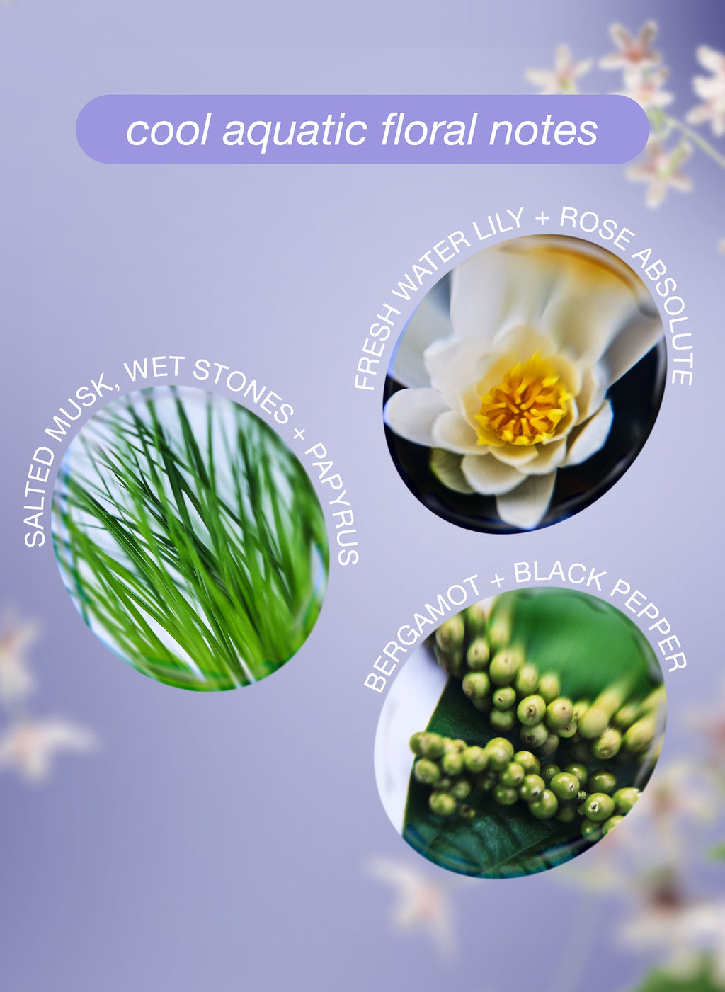 K18 x Future Society Limited Edition Scent Mask